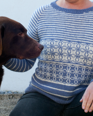 Pullover Malu mit Hund