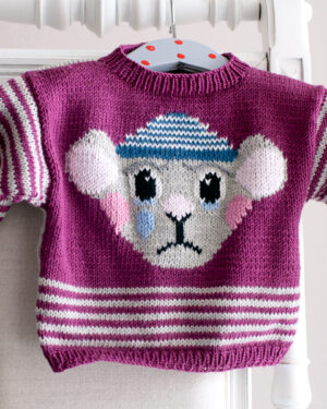 Vorderansicht beim Babypullover Walter Taddles
