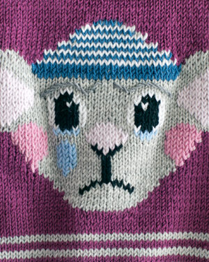 Detailansicht des Mausmotivs beim Babypullover Walter Taddles